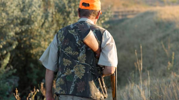 doi barbati cercetati pentru impuscarea unui caprior in hunedoara vanatorul de ocazie nu detine permis de arma