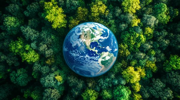 asa arata o criza existentiala la summitul cop16 mai multe tari doresc sa faca pace cu natura