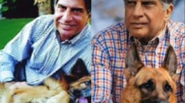 un miliardar i a lasat cainelui sau o avere de 91 de milioane de lire sterline