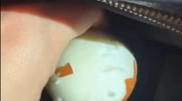 delia gest controversat si a decojit un ou fiert intr o geanta balenciaga de 2 000 de euro