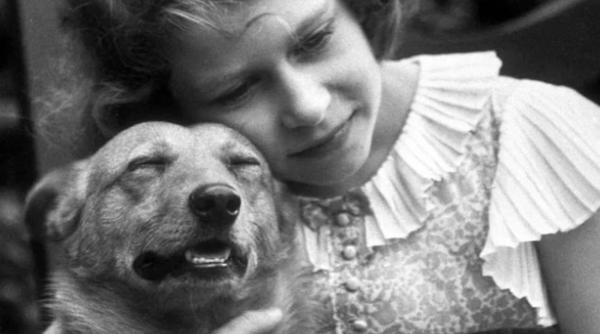 povestea lui dookie primul caine corgi al reginei elisabeta blanosul adora sa atace calcaiele oaspetilor