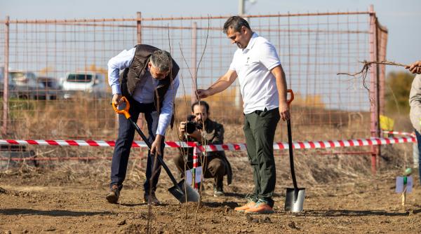 sondaj argument alegeri prezidentiale 2024 raspunsul romanilor la intrebarea cine credeti ca va ajunge la cotroceni