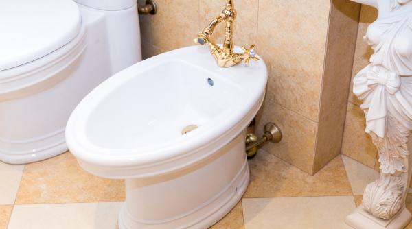 cat costa bideul de lux din viitoarea vila a lui iohannis si ce facilitati are toaleta un subiect important pentru presedintele tarii