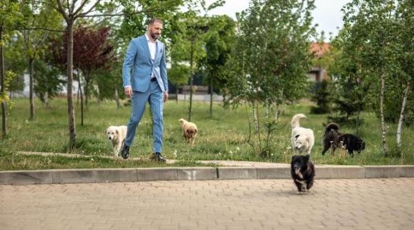 stefan mandachi sunt fan si l as vota estimez cateva sute de injuraturi pe aici de la dezamagiti