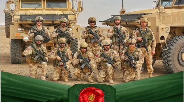 ziua veteranilor din teatrele de operatii semnificatia zilei