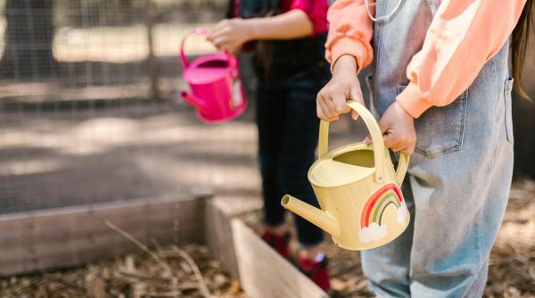 educatia incluziva printr o lupa noua ce aduce legislatia recenta in materia calitatii invatamantului