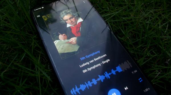 adn ul din parul lui beethoven dezvaluie o surpriza la aproape 2 secole de la moartea sa