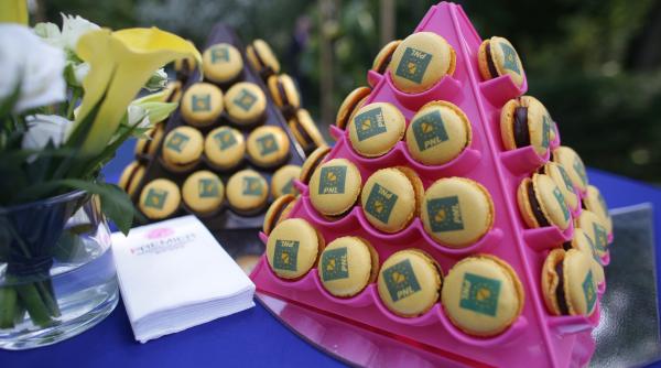 romascanu acuza pnl de sabotarea intereselor romaniei in pe e mai rau decat a facut o usr ul vreodata video