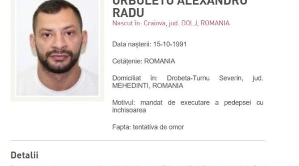 un barbat de 33 de ani urmarit international din categoria most wanted adus in romania