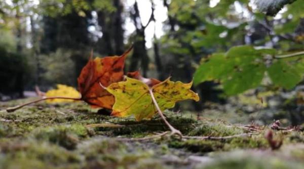 cum va fi vremea la acest final de saptamana meteorologii vin cu precizari de ultima ora
