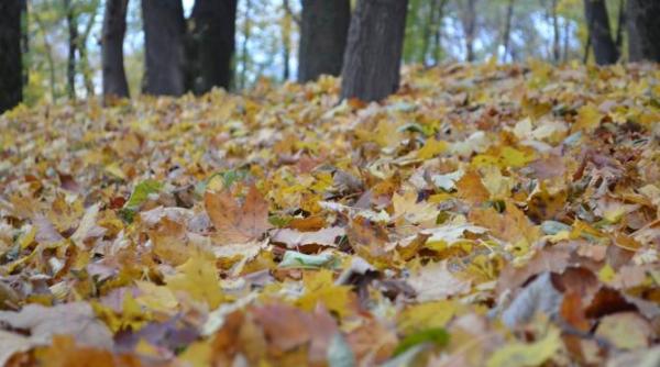 anm vremea 18 noiembrie 16 decembrie prognoza meteo in urmatoarele patru saptamani