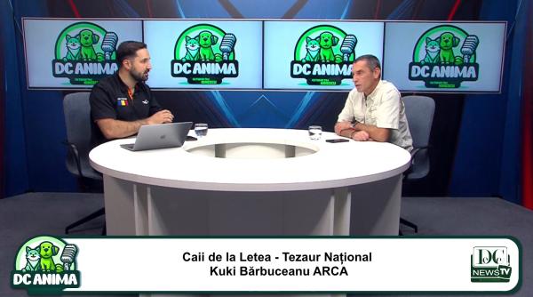 tezaurul reprezentat de caii de la letea kuki barbuceanu la dc anima