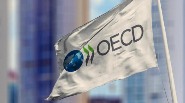 romania face un pas important spre aderarea la ocde alinierea la standardele digitale internationale