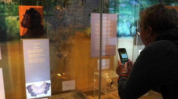 acum mai bine de 3 milioane de ani hominizii stapaneau bine tehnica cioplirii ce au descoperit cercetatorii