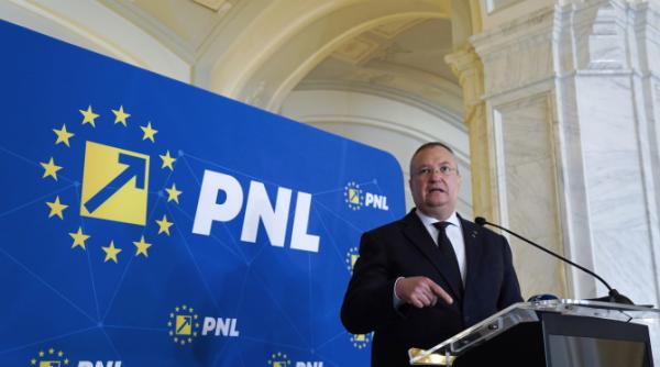 cine preia carma pnl dupa demisia lui nicolae ciuca