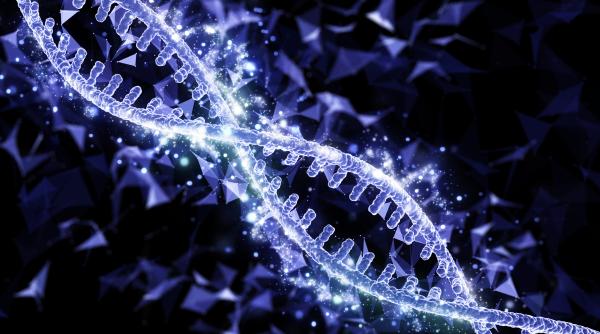 progresele terapiilor genice conf univ dr viorica radoi sanador cum functioneaza si ce boli pot vindeca video