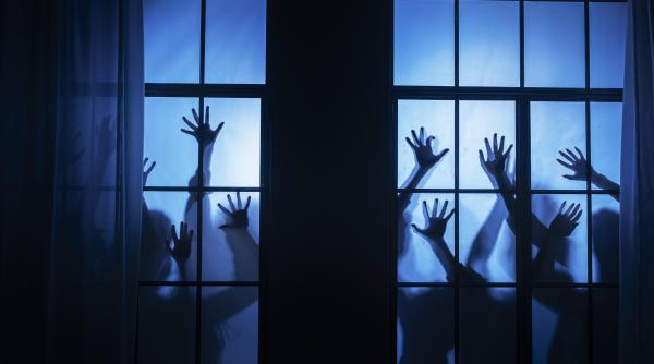 casele bantuite cel mai bun dezinflamator studiu