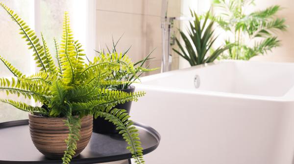 asa arata masina de spalat umana aparatul viitorului care va inlocui dusul si functioneaza cu inteligenta artificiala foto