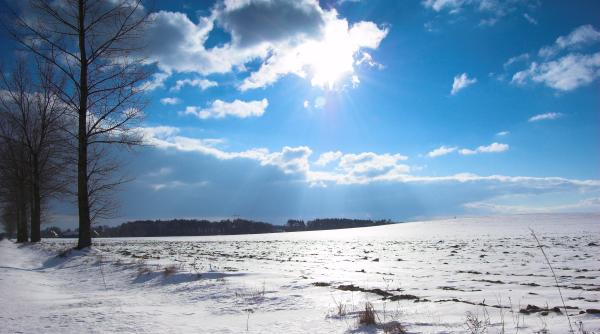 horoscop decembrie 2024 pentru berbec taur gemeni rac leu si fecioara zodia cu ambitii mari la final de an
