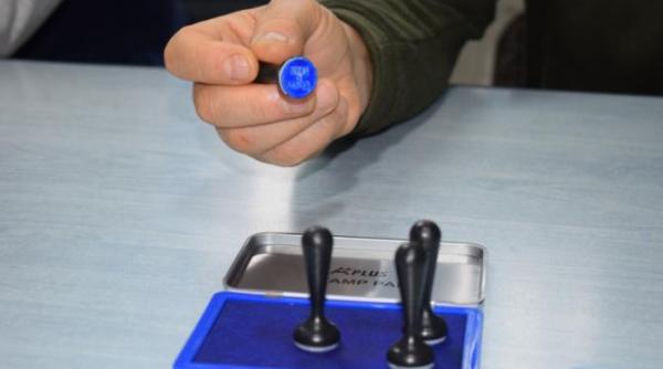 incidente la votare vot multiplu batai si influentarea alegatorilor