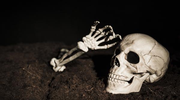 descoperire in premiera despre juluren oamenii cu capul mare ce n am stiut pana acum despre aceasta specie de hominizi