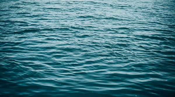 apelul unui fotbalist de la dinamo dupa ce fetita sa a cazut in lacul herastrau