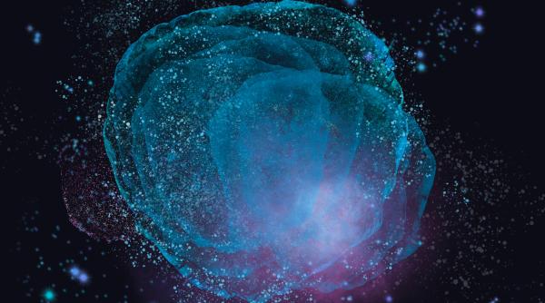 telescopul webb a facut o noua descoperire se ascund noi galaxii in panza de paianjen