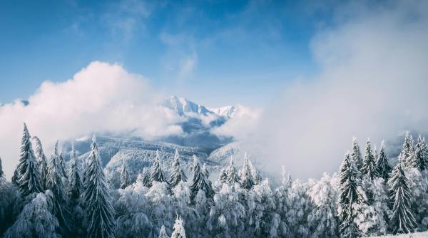 atentie teapa au aparut cazarile false la munte libere de craciun sau revelion foto