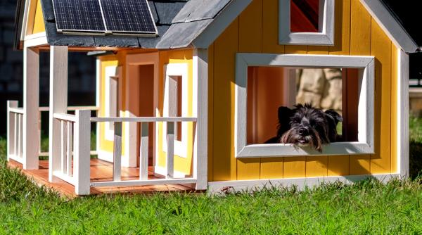 ppc energie partenerul de incredere al romanilor pentru programul afm casa verde 2024