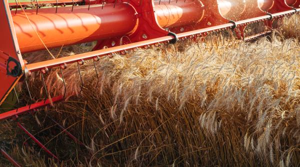 exporturile de cereale rusesti catre siria suspendate motivul expus de surse ale reuters