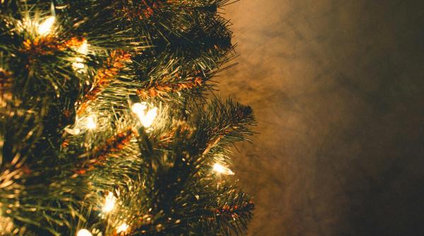 impodobirea bradului de craciun pas cu pas solutia pentru cei nehotarati