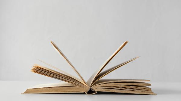 bogdan hrib si alexandra dobre discutie despre piata de carte dupa gaudeamus