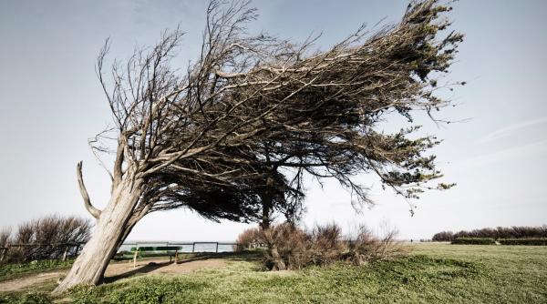 prognoza meteo cum va fi vremea zilele urmatoare elena mateescu anunta un cod portocaliu