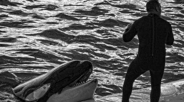 activistul canadian paul watson aparatorul balenelor eliberat din inchisoare