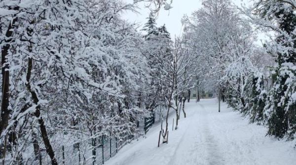 alerta meteo de ninsori viscolite si polei 20 22 decembrie