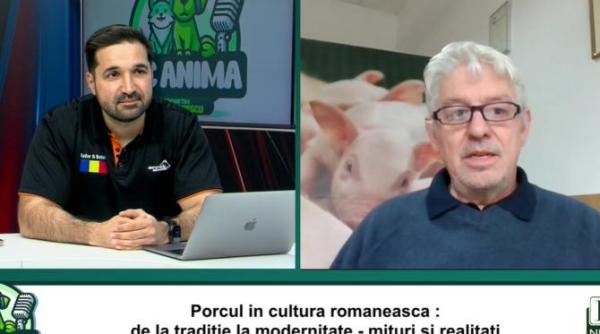 porcul mai destept ca un caine dar tot il sacrificam conf univ dr ioan ladosi