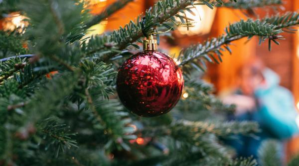 dan voiculescu sarbatorile sunt un moment pentru intrebari esentiale