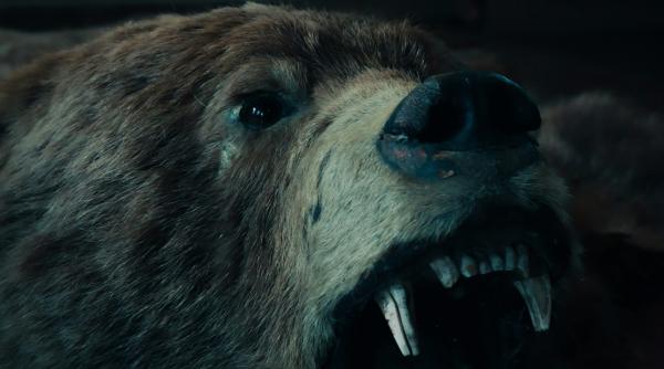 un barbat s a trezit cu ditamai ursul in sufragerie