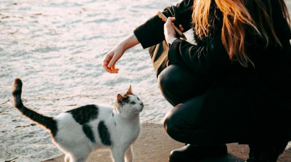 horoscopul anului 2025 pentru nativii capricorn vesti bune din iunie totul se poate schimba