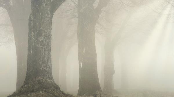 blocaje si haos din cauza cetii dense roxana bojariu anm explica fenomenul este vorba de asa numita ceata de radiatie