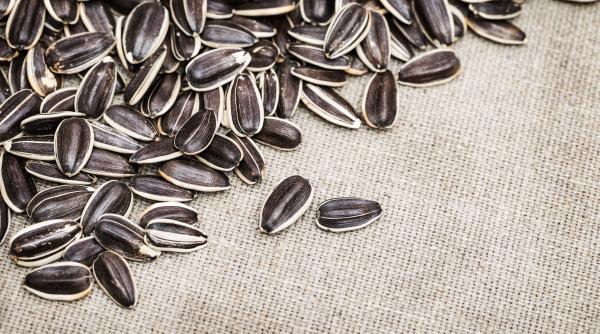 ce se intampla daca mananci seminte in fiecare zi