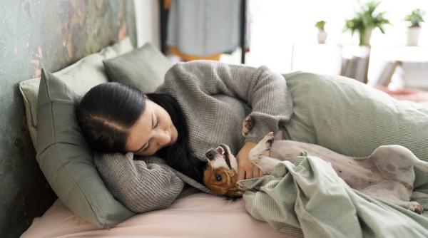 de ce nu ar trebui sa iti lasi cainele sa doarma cu tine in pat ce spun expertii