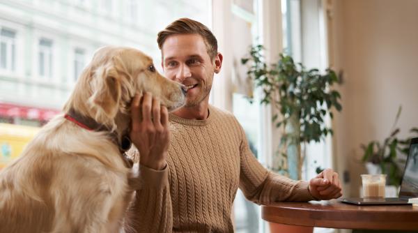 vom putea vorbi cu animelele in 2025 se lucreaza deja la un sistem bazat pe inteligenta artificiala care traduce limbajul necuvantatoarelor