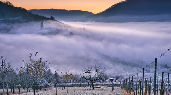 vremea pana pe 3 februarie anm anunta temperaturi situate peste cele specifice acestei perioade