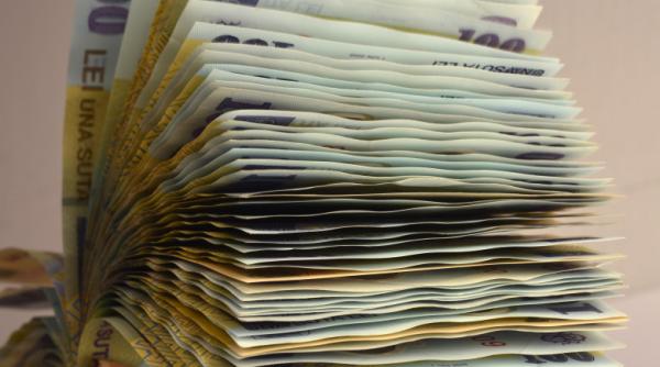 facias intarzieri in transpunerea directivelor ue cine raspunde pentru amenzile platite de statul roman