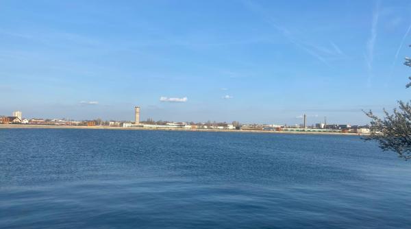 tur gratuit pentru observarea pasarilor pe lacul morii oaspeti de iarna din scandinavia si siberia