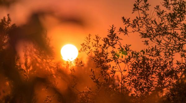 romania a depasit limita din acordul de la paris elena mateescu anm detalii mai putin cunoscute despre recordurile din 2024 video