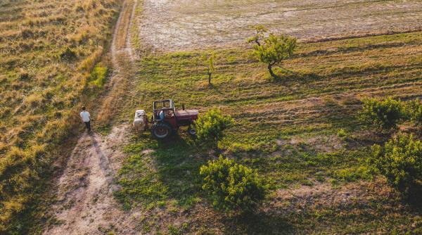 masuri de avarie pentru o agricultura lovita de schimbarile climatice ce propune elena mateescu anm