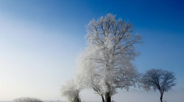 val de aer polar in romania alina serban anm temperaturi de pana la 19 grade