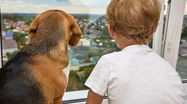 cum pot cainii sa i invete pe copii sa fie responsabili ce spun expertii